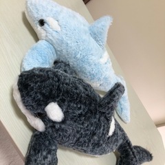 ぬいぐるみの画像