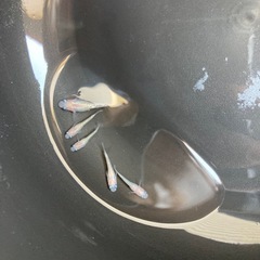 メダカ　ピンクサファイヤ　若魚　5匹の画像