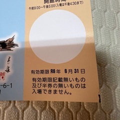 渋川マリン水族館 特別観覧券 新品の画像