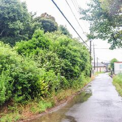 📍大網白里市細草｜200坪超×2区画｜坪2万｜🌳贅沢に広が…