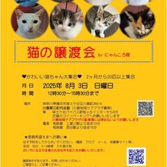 猫の譲渡会　BYにゃんころ隊 8/3