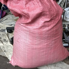 豆🫘の画像