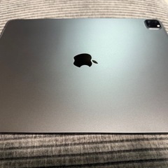 限定値下げ！
超美品！iPad Pro第4世代12.9インチの画像