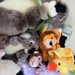 ぬいぐるみの画像