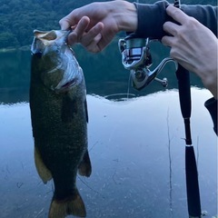 ブラックバス スモールマウスバス ガイド オカッパリ