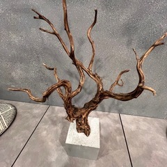 【高級インテリア】流木アートオブジェ コンクリートベースの画像