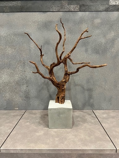 【高級インテリア】流木アートオブジェ コンクリートベース
