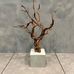 【高級インテリア】流木アートオブジェ コンクリートベースの画像