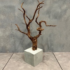 【高級インテリア】流木アートオブジェ コンクリートベースの画像
