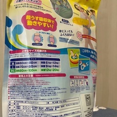 グーンスイミングパンツビッグの画像