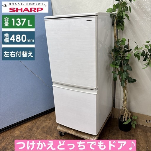 I719 ? SHARP 冷蔵庫 (137L) 2ドア ⭐ 動作確認済 ⭐ クリーニング済