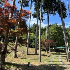 一緒にアウトドアしませんか？