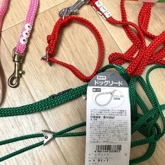 １つ450円　国産　メイドインジャパン　ペット　犬　猫　リード　首輪　緑　グリーン　赤　レッド　ピンク　超小型　極小　小型　　7kgまで　散歩の画像