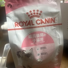 ご飯、おていれ用品の画像