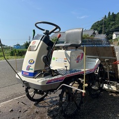 さなえ その他の中古が安い！激安で譲ります・無料であげます
