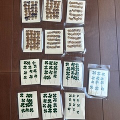 押し花　セット売り新品未使用の画像