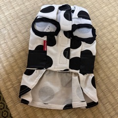 犬服の画像