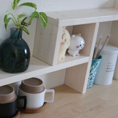  伸縮可動式ラック・シェルフ
の画像