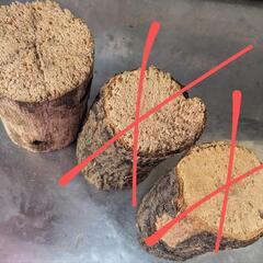 クワガタ 産卵材(大) クヌギ・ナラ ●残在庫 ラスト１の画像