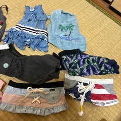 犬服になりますの画像