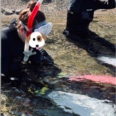 シュノーケル体験の画像