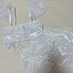 水着 レディースの画像