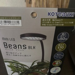 水槽、水槽台、ライト、フィルターセットの画像