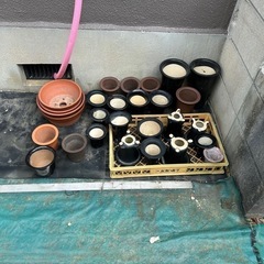  植木鉢　盆栽鉢　いろいろ　1鉢どれでも30円！の画像