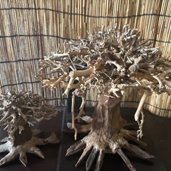 アクアリウム用 流木2個セットの画像