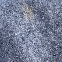  今夜まで！ピンク の絨毯 カーペットの画像