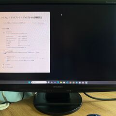 24インチパソコン用モニタ　三菱モニタ RDT234WLM-D【...