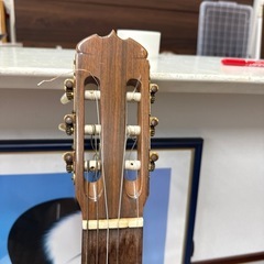 ギター  弦楽器 現状販売の画像
