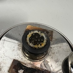 アルポッドの画像