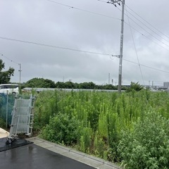 【急募】草刈りお願いします🙇‍♀️