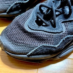 adidas｜ Ozweego オズウィーゴ 24.5cmの画像