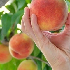 🍫グループ制🍫男女メンバー募集🍫お気軽にお問い合わせ下さい🍫