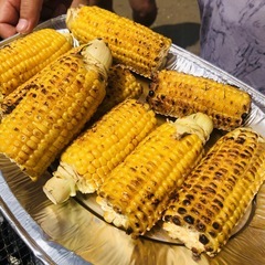自然大好き⭐︎ナチュリストサークルメンバー募集しています！ - その他