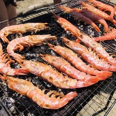 自然大好き⭐︎ナチュリストサークルメンバー募集しています！ - 木更津市