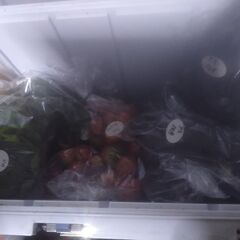 新鮮野菜コーナー明日の品出し予定です。