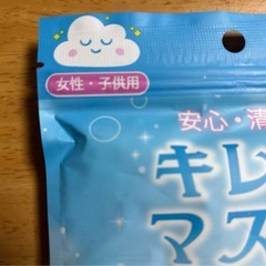 キレイマスク 10枚入り 女性・子供用の画像