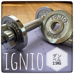 IGNIO ダンベルセット可変式  の画像