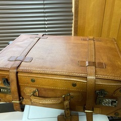 機内持ち込みサイズです　EURASIA/トラベルキャリー/レザー　トラベルバッグの画像