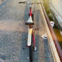 KALAHARI FOUA K4の画像