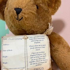テディベア　English teddy bear company パスポートの画像