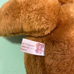 テディベア　English teddy bear company パスポートの画像