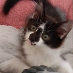 代理投稿になります（3ヶ月くらい）
