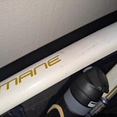 TREK DOMANE AL4 GEN3の画像