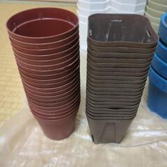 プラ鉢、素焼き鉢の画像