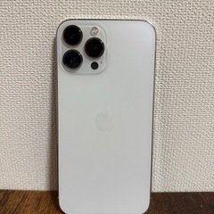iPhone13promax256gb
の画像