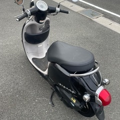 ジョルノの画像